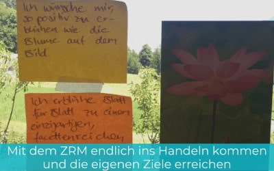Mit dem ZRM endlich ins Handeln kommen und die eigenen Ziele erreichen